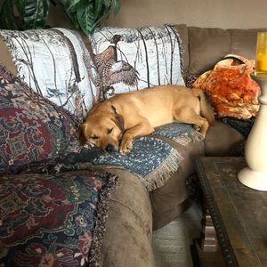 Meet your Posher, Laura